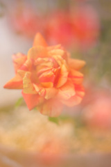 B195BC00-B786-44C9-957A-BF7116E0C397