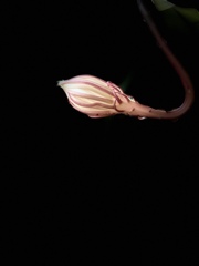 22FEBBA1-6A74-4AEA-B1AF-D37AE4EF9F96