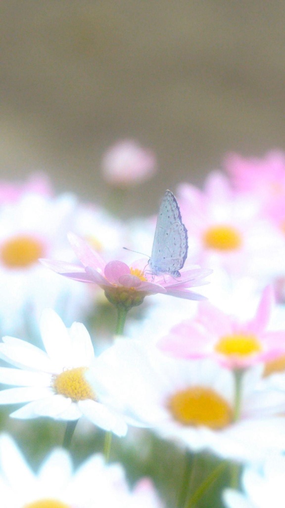 5B8D23D7-E674-49DE-AD04-1CBB0EBF0A2E