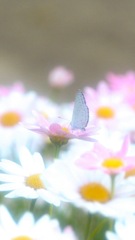 5B8D23D7-E674-49DE-AD04-1CBB0EBF0A2E