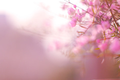 63FE6F35-B157-4A86-A886-72E9A65900A2