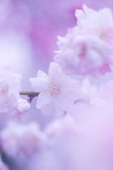 8F579EA6-967B-44A0-8E19-7AF17E81BA0C