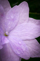 28CD15ED-786D-43D7-A3B8-3357057DF211