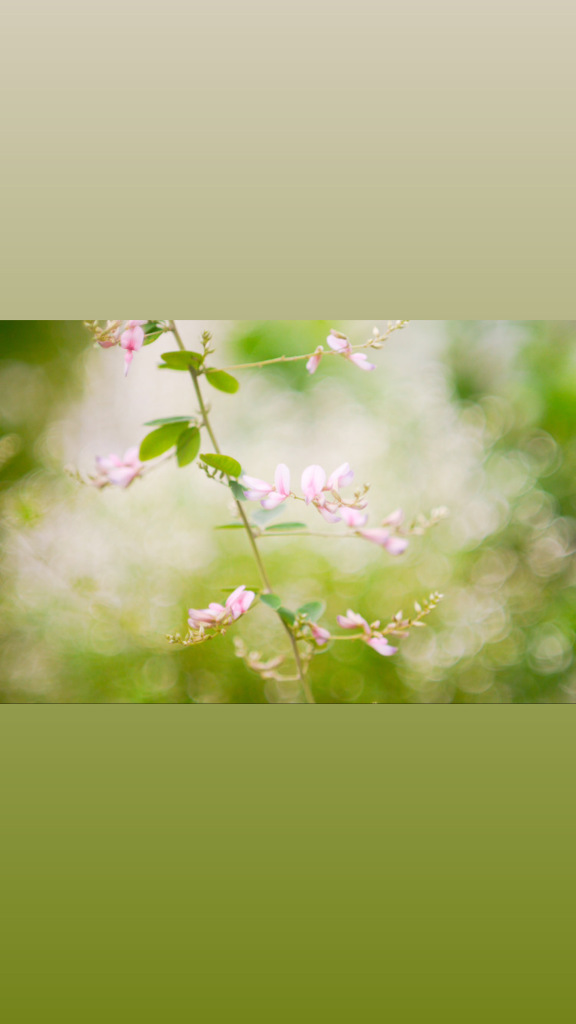 F0041006-3887-4414-B043-8E63310BC9DE