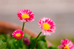 FF94ACA2-0FBB-4351-A654-EDD79787A7FC