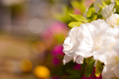 28853664-547F-41FD-B367-5786A6A31AE6