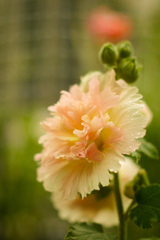 55429F53-46E8-4445-BA7B-383D6B690585