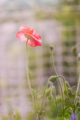 CDDDEF08-AAA1-4189-9B63-5DF8400B1DD0