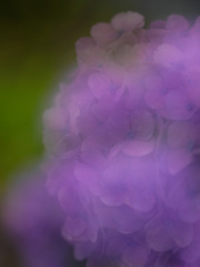 06F42432-B4BA-46D6-A172-53D635D51315