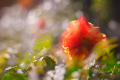 36A9F0E2-CE16-446F-9F4D-A2981A135E38