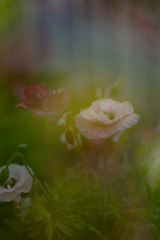 97014652-BAEB-4199-A4C9-E28CE283BDAC