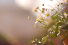 27CB4AEE-D8C3-4FEE-85A4-7A951EB54F7B