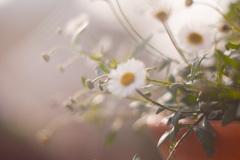 6DF80E76-EF4B-4594-880F-0B1D9A128B23