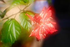 437879BA-0656-4E2C-A466-61745DEE29B2