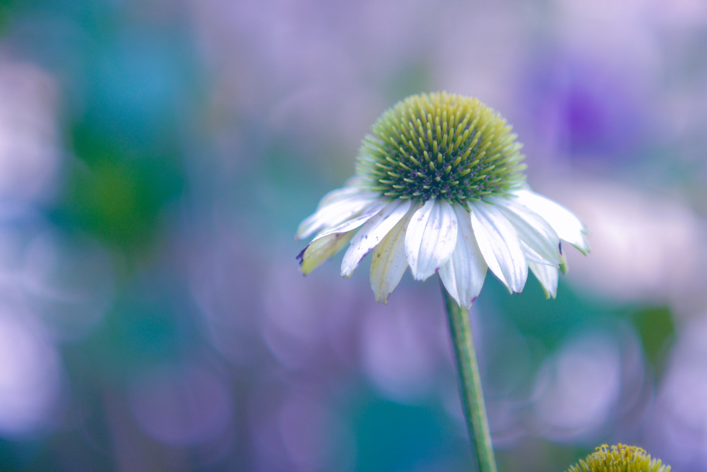 E22BEDD5-27E6-4D19-A7EE-9DB54848DDD5