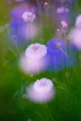 64944714-96F5-4BCB-9E6E-A55AD5F028CF