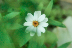 9AB3FD10-EB3C-409C-B54D-75957FD0C0F0