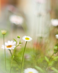 A14092C6-C686-478C-906D-715C366C17C7