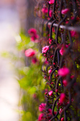 2E9A5050-7391-46B8-B706-7BF0C486B448