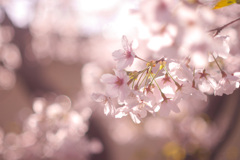 68FF01B8-7152-4130-BA69-474BF0213FFB