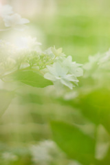 8A096948-9621-4BF8-BBE5-D0822C33F066