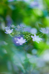 E10D6022-C30E-47E8-B5A7-1AAA82A28EA7