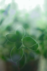 893022C3-6FB7-4AE4-B637-8B49F2242BEA