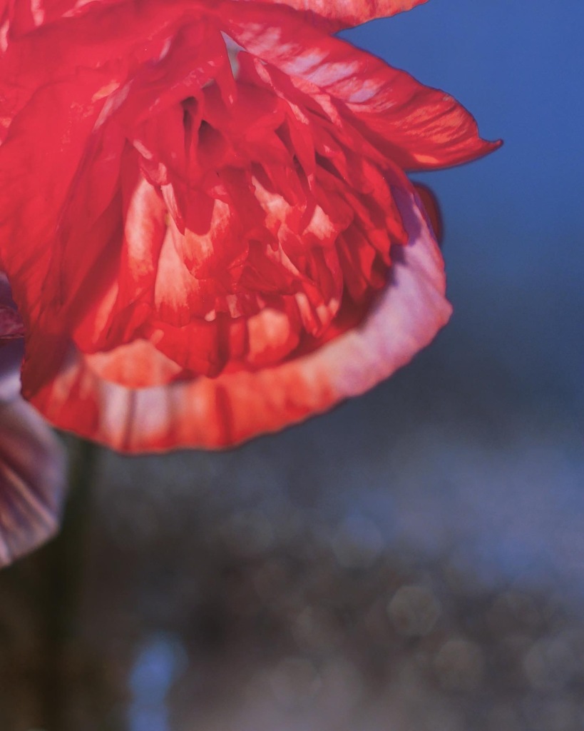 A72ABF2E-338C-43E4-B562-3D95895C67BB