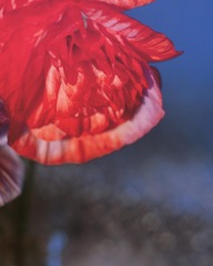 A72ABF2E-338C-43E4-B562-3D95895C67BB