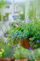 39346FF7-D0B5-4D79-A25D-4B6746EBCD1E