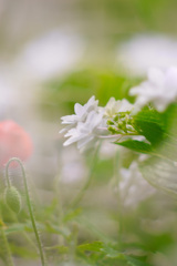 97C639FC-FC3F-41E7-AAC4-89B67A2203DD