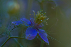 947C8825-7333-4A3A-825C-F7F065B588DA