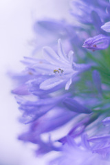 A3236B87-E7C2-47B7-BDE7-898523AF6B06