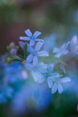 3AFDA9F8-2CFE-4E8F-B054-BD94F16C06CB