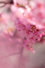 FC7FDA22-A3B0-4C86-A7D9-0F13708DCB22