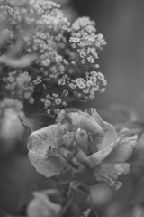 D9D82387-4EB5-4B5D-A1CC-AD0D0DCEE09E