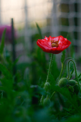 19B951FD-DB5A-4D89-9B6B-8D5C48D38264