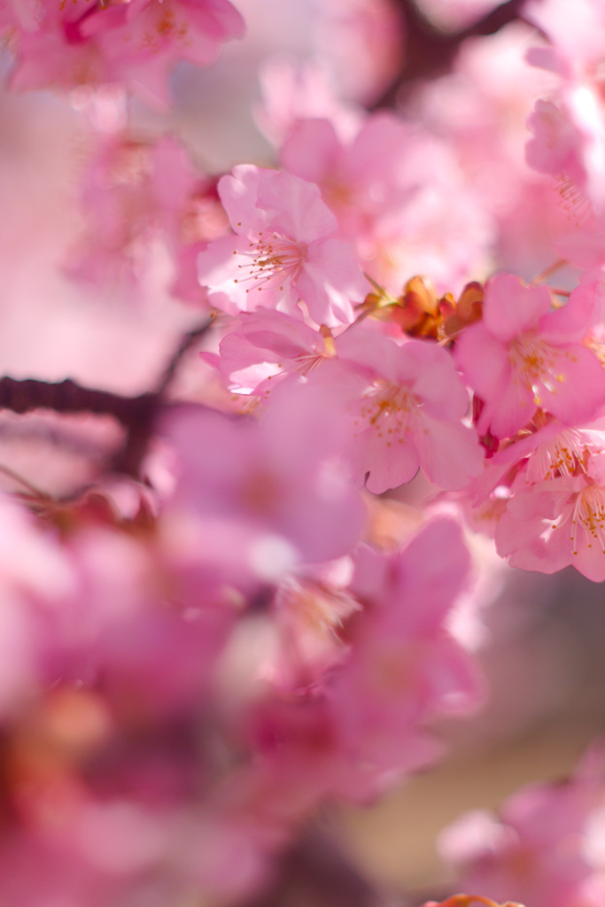 D77135EC-5028-43CD-B36B-8676F7248AE8