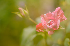 34F34400-AB96-4F6E-80B1-AE8EAEDCC1D4