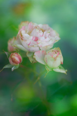 AA333818-C074-40CD-9ED3-6A7F368EE06A