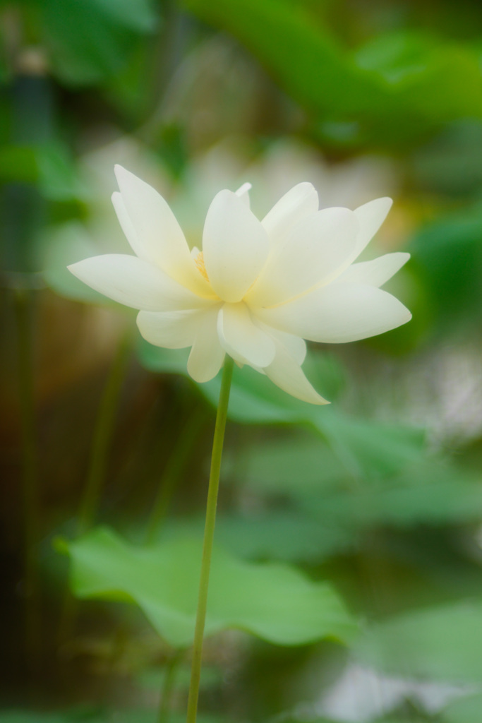 5D7BD297-EF24-494E-8421-F195081BAFB3