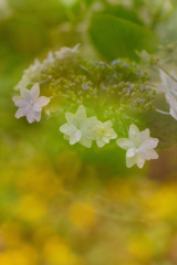 9D479C54-1B4E-459A-84DD-CFB4058FC2FC