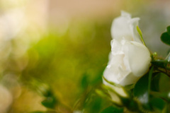 9B92DDF0-79F2-4461-9891-7DA199BEA67B