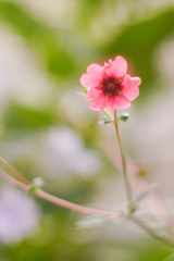 5A607FB0-7069-48A0-B149-37786D8906B7