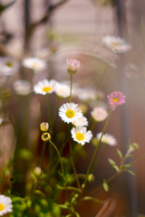 FE5A878B-A5A0-4646-9FDE-035E2EC1F7D4