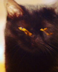 49781A25-C7D3-4746-A2AA-20784DFD250D