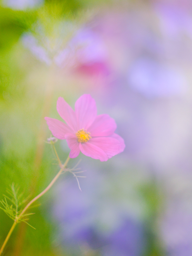 C533B889-1517-4CBF-B10B-32A5CEA2E8FD