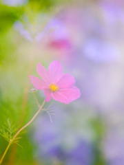 C533B889-1517-4CBF-B10B-32A5CEA2E8FD