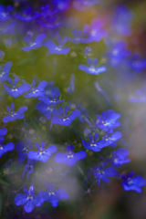 AF1D2C05-3B1C-4399-859B-27B285397878