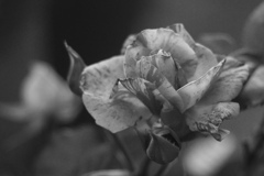 F5BB5405-0173-490B-922B-CFC1972AECA8